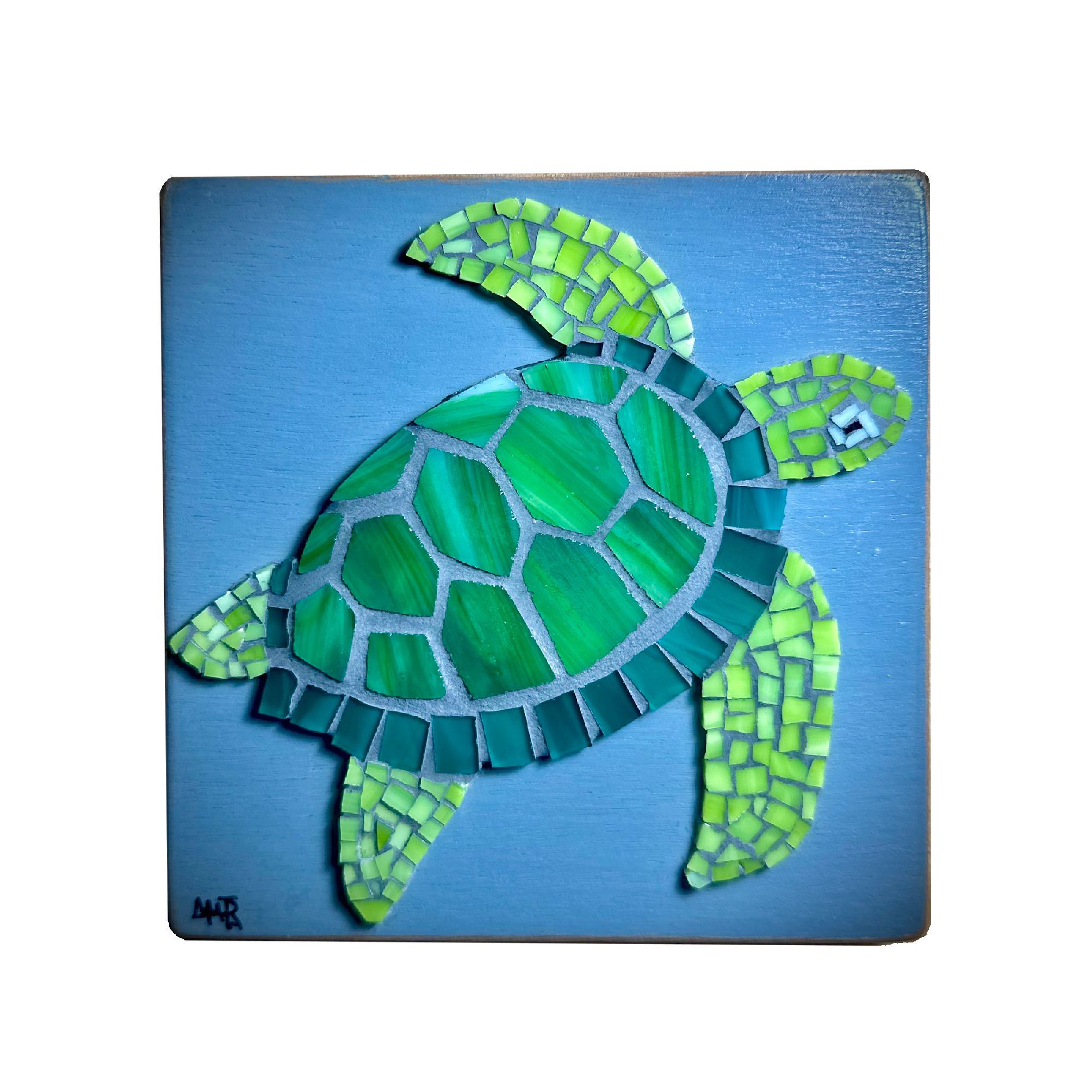 Καδράκι «Χελώνα Καρέτα-Καρέτα»